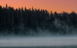 Preview wallpaper lake, fog, trees, dusk, landscape
