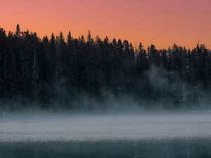 Preview wallpaper lake, fog, trees, dusk, landscape
