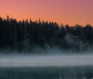 Preview wallpaper lake, fog, trees, dusk, landscape