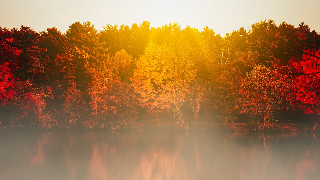 Wallpaper lake, fog, trees, sunlight, landscape