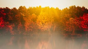 Preview wallpaper lake, fog, trees, sunlight, landscape