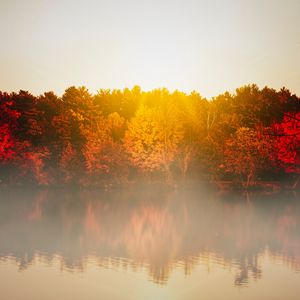 Preview wallpaper lake, fog, trees, sunlight, landscape