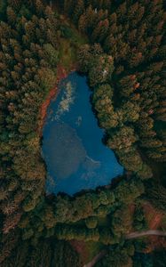 Preview wallpaper lake, forest, aerial view