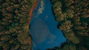 Preview wallpaper lake, forest, aerial view