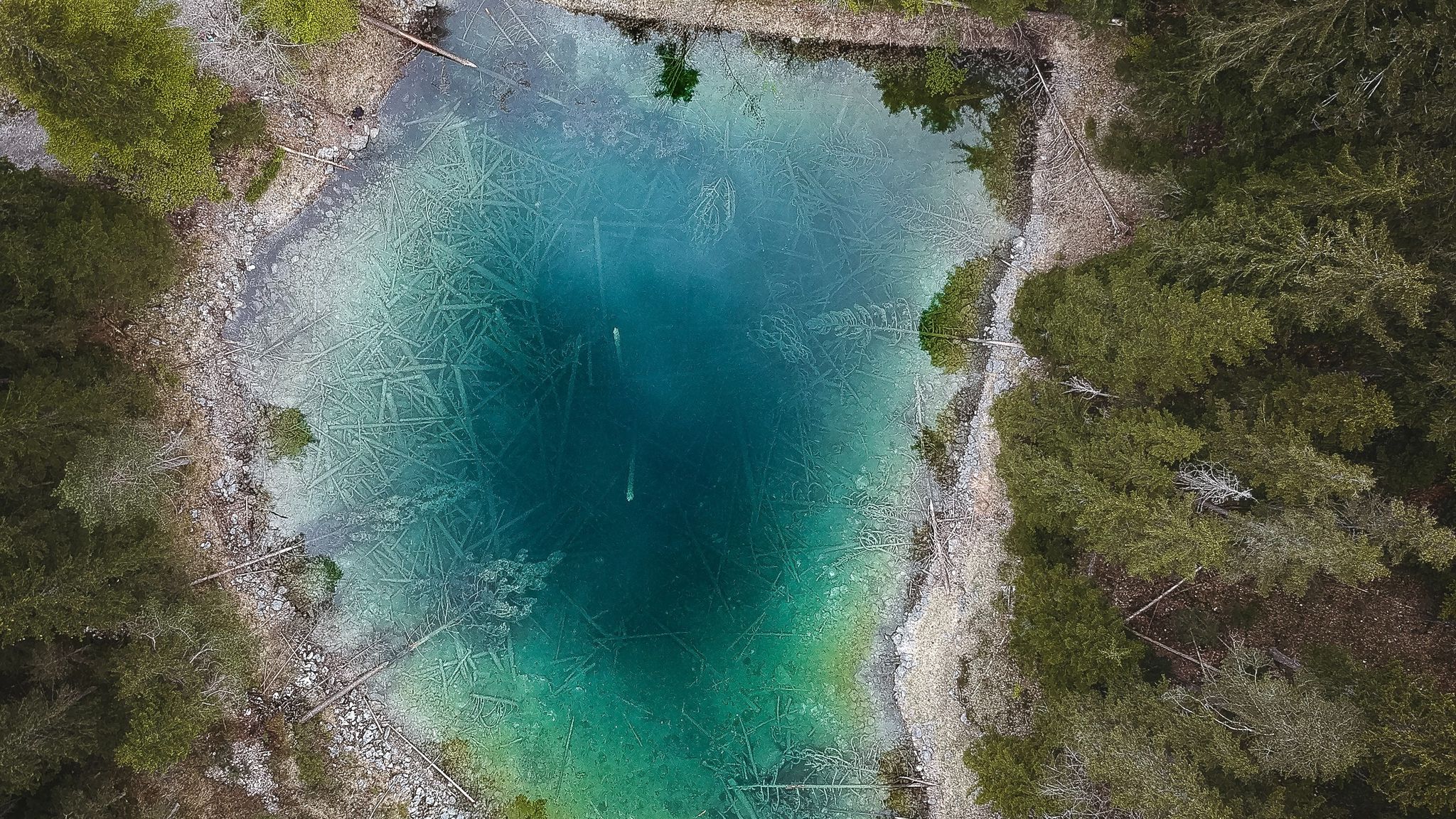 Download wallpaper 2048x1152 lake, forest, aerial view, water, trees