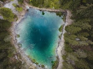 Preview wallpaper lake, forest, aerial view, water, trees