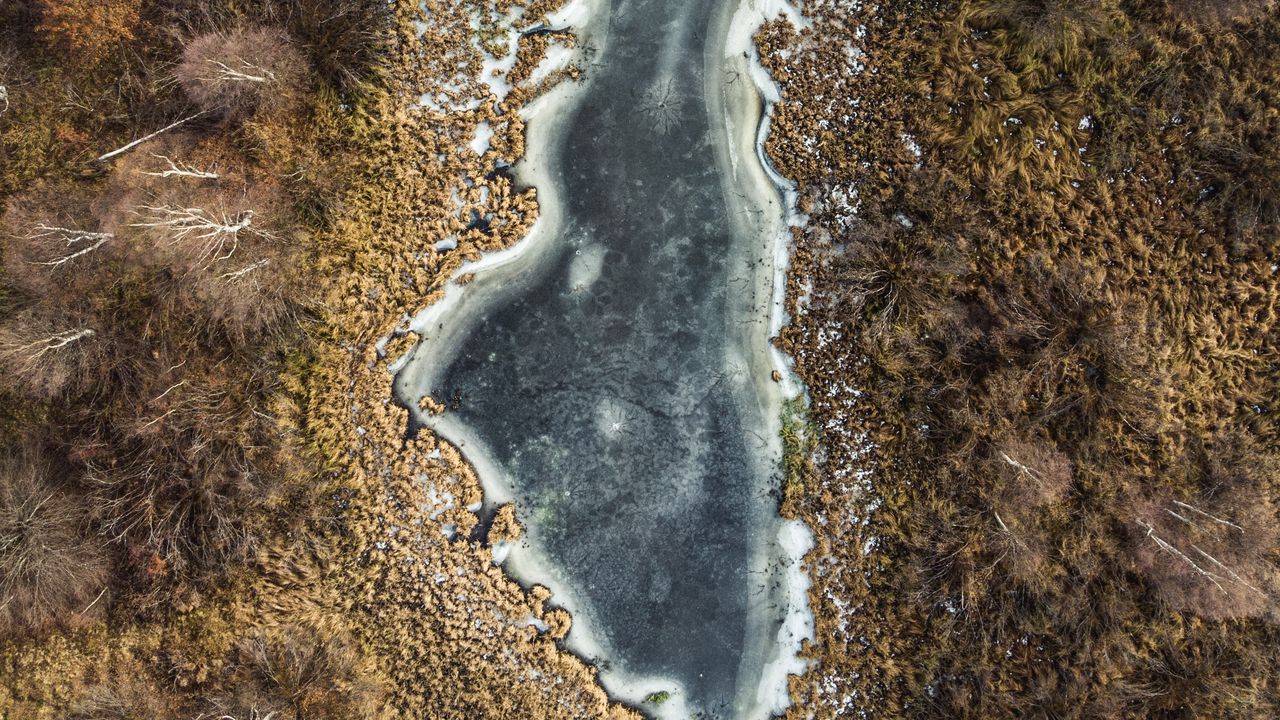 Wallpaper lake, forest, aerial view, nature