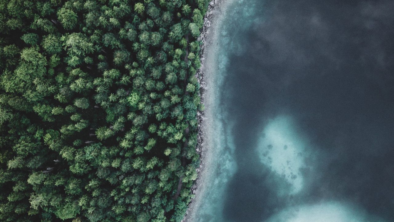 Wallpaper lake, forest, aerial view, water, trees, nature