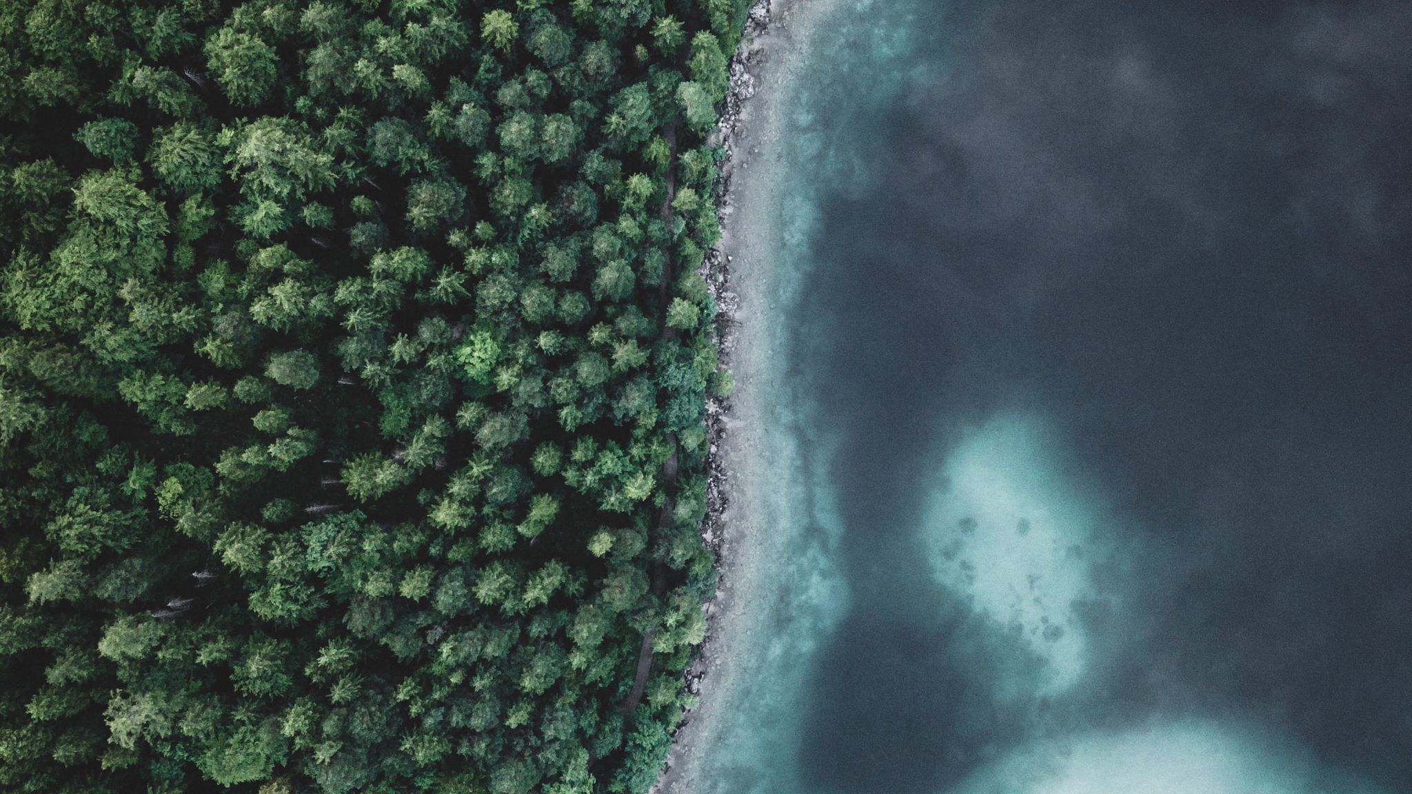 Download wallpaper 2048x1152 lake, forest, aerial view, water, trees