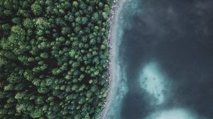 Preview wallpaper lake, forest, aerial view, water, trees, nature