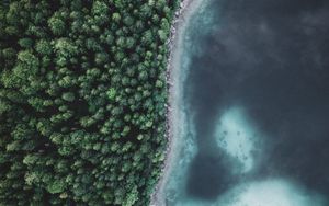 Preview wallpaper lake, forest, aerial view, water, trees, nature