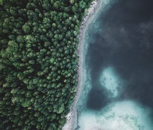 Preview wallpaper lake, forest, aerial view, water, trees, nature