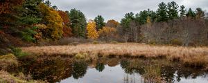 Preview wallpaper lake, forest, autumn, trees, landscape