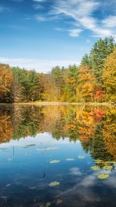 Preview wallpaper lake, forest, autumn, trees, reflection