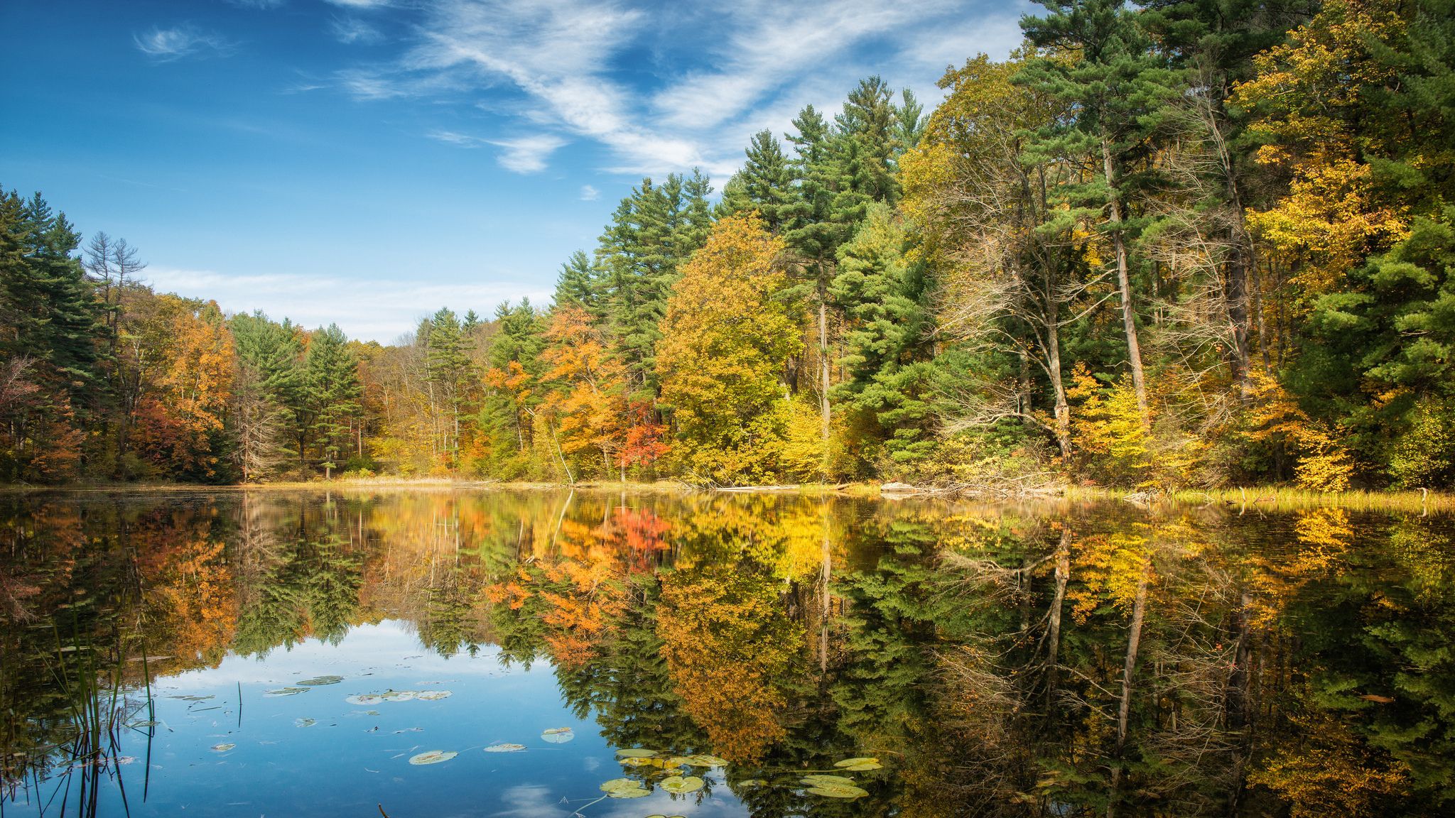 Download wallpaper 2048x1152 lake, forest, autumn, trees, reflection