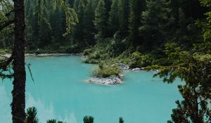 Preview wallpaper lake, forest, coniferous, trees, shore