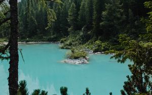 Preview wallpaper lake, forest, coniferous, trees, shore