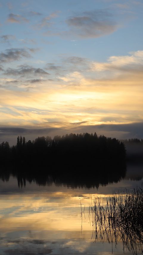 480x854 Wallpaper lake, forest, fog, clouds, sunset, reflection, sky, nature, dark