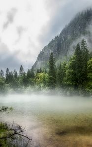 Preview wallpaper lake, forest, fog, morning, landscape