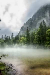 Preview wallpaper lake, forest, fog, morning, landscape