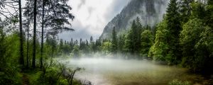 Preview wallpaper lake, forest, fog, morning, landscape