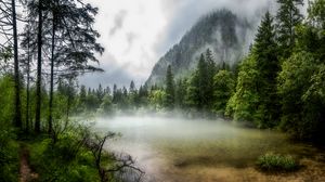 Preview wallpaper lake, forest, fog, morning, landscape