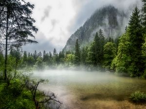 Preview wallpaper lake, forest, fog, morning, landscape