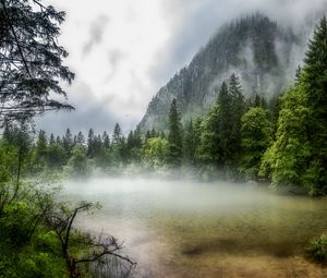 Preview wallpaper lake, forest, fog, morning, landscape