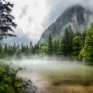 Preview wallpaper lake, forest, fog, morning, landscape