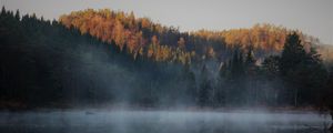 Preview wallpaper lake, forest, fog, autumn, nature