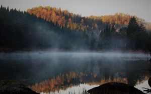 Preview wallpaper lake, forest, fog, autumn, nature