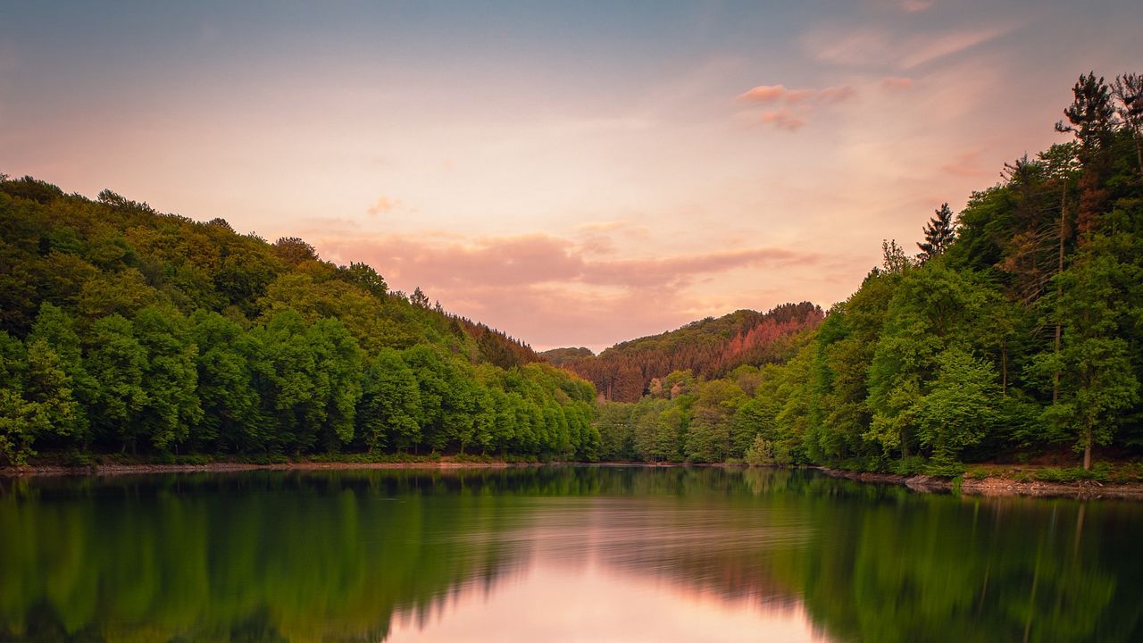 Wallpaper lake, forest, grass, bushes, reflection