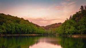 Preview wallpaper lake, forest, grass, bushes, reflection