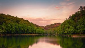 Preview wallpaper lake, forest, grass, bushes, reflection