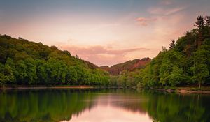 Preview wallpaper lake, forest, grass, bushes, reflection