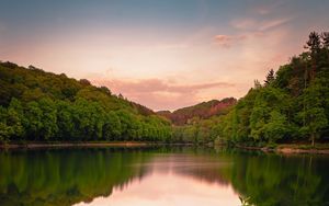 Preview wallpaper lake, forest, grass, bushes, reflection