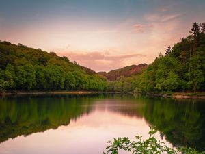 Preview wallpaper lake, forest, grass, bushes, reflection