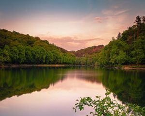 Preview wallpaper lake, forest, grass, bushes, reflection