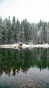 Preview wallpaper lake, forest, house, snow, landscape, solitude