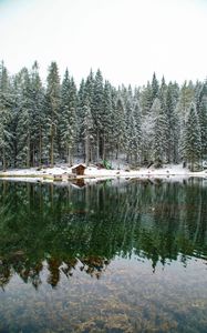 Preview wallpaper lake, forest, house, snow, landscape, solitude