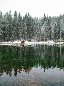 Preview wallpaper lake, forest, house, snow, landscape, solitude