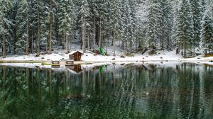 Preview wallpaper lake, forest, house, snow, landscape, solitude