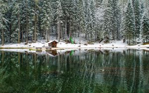 Preview wallpaper lake, forest, house, snow, landscape, solitude