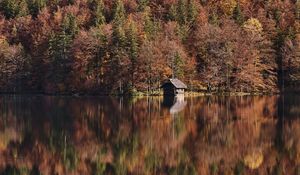 Preview wallpaper lake, forest, hut, autumn, nature