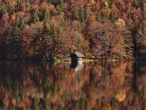 Preview wallpaper lake, forest, hut, autumn, nature