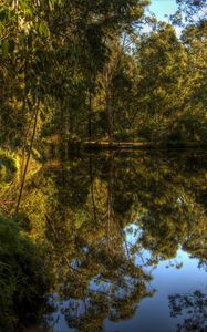 Preview wallpaper lake, forest, landscape