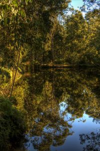 Preview wallpaper lake, forest, landscape