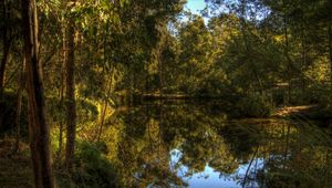 Preview wallpaper lake, forest, landscape