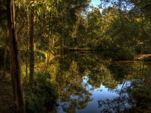 Preview wallpaper lake, forest, landscape