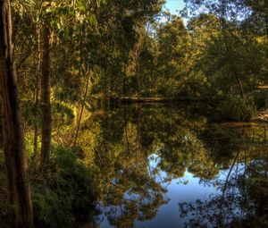 Preview wallpaper lake, forest, landscape